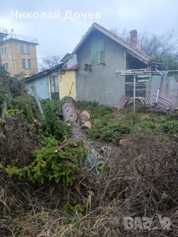 Рязане на опасни дарвета почистване на дворове и големи парцели със профисионална техника, снимка 1 - Други услуги - 48378820