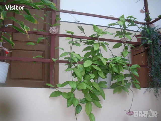 фотоапарат Sanyo Vpc E10ex   10МРх, снимка 13 - Фотоапарати - 51513394