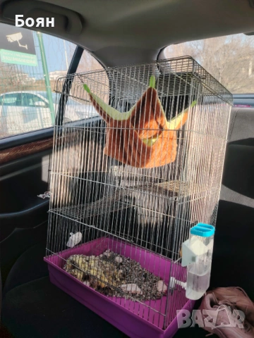 Клетка за птиче или гризач