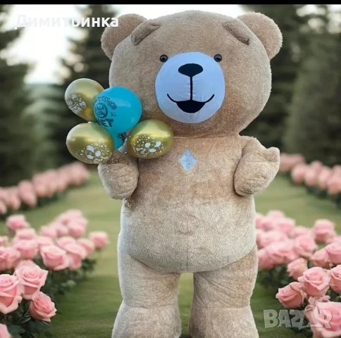 Мече изненада , снимка 3 - Фотографи - 50579378