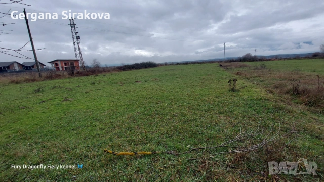 Земеделска земя, снимка 3 - Земеделска земя - 52606353