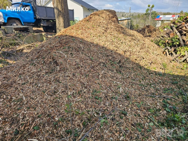 Почистване на парцели и дворове до чиста пръст, снимка 3 - Други почистващи услуги - 54143512