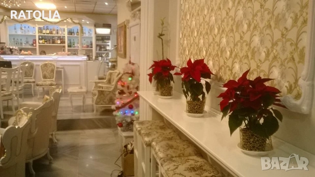 Барокови мебели, холова гарнитура, кресла, маси диван -50%, снимка 11 - Антикварни и старинни предмети - 53481254