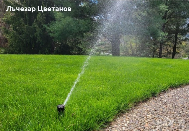 Озеленяване и поддръжка на дворове 