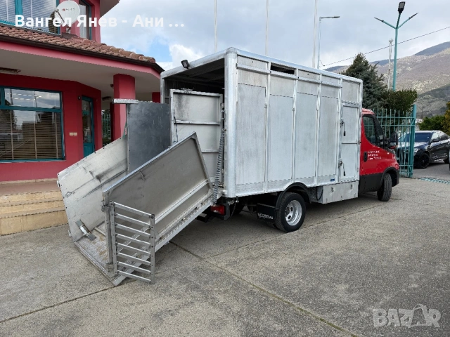 Животновоз, снимка 11 - Бусове и автобуси - 54157703