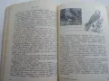 За младия Ловец и Риболовец - Б.Арнаудов,Г.Оцетов - 1975г., снимка 3