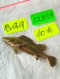 Бронзова фигурка на риба 🐟 52839, снимка 7