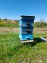 Инвентар за пчели, снимка 1 - За пчели - 44114607