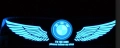 LED стикер CT25  BMW, снимка 2
