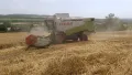 Услуги с комбайн CLASS LEXION Велико Търново , снимка 6