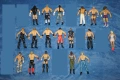 20 Кеч Фигури със забележки Bobby Fish Elite/Undertaker/Lana/The Miz/CM Punk/Matt Hardy/Edge/Randy, снимка 11
