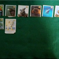 Стикери на животни от кроасаните Чипита, снимка 2 - Колекции - 45255747