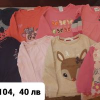 Лот блузки за момиче,  размер 98-104 , снимка 1 - Детски Блузи и туники - 45992351