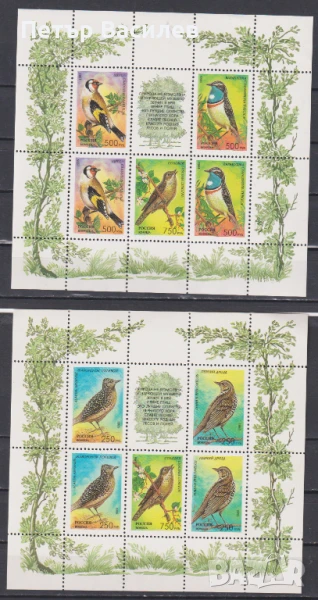 Чисти марки в малки листа Фауна Пойни птици 1995 от Русия, снимка 1