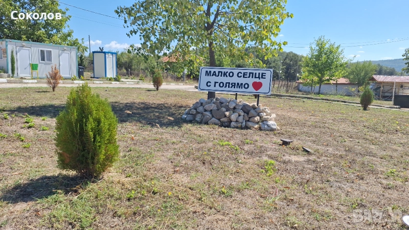 В планината на асфалт, снимка 1