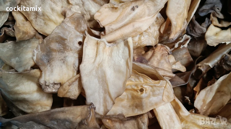 Лакомство натурални телешки уши за дъвчене за всички породи кучета - 1бр, снимка 1