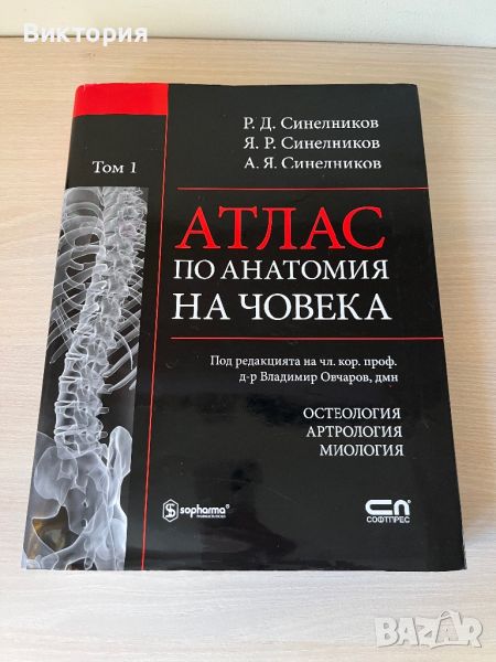 Комплект от 4 тома атласи анатомия на човека - Синелников , снимка 1