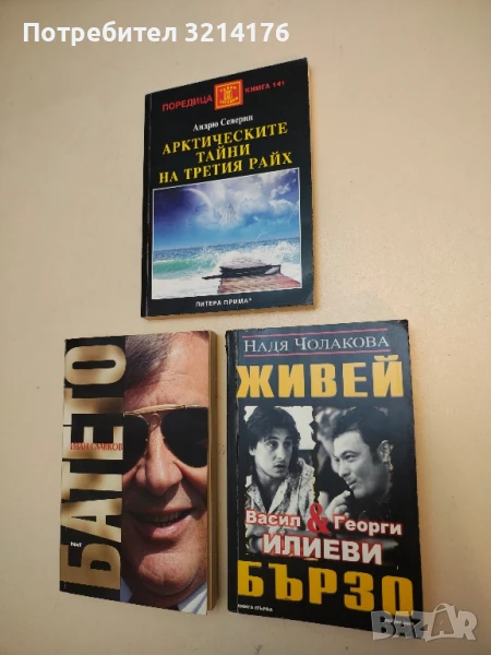 Живей бързо. Книга 1: Васил и Георги Илиеви - Надя Чолакова, снимка 1