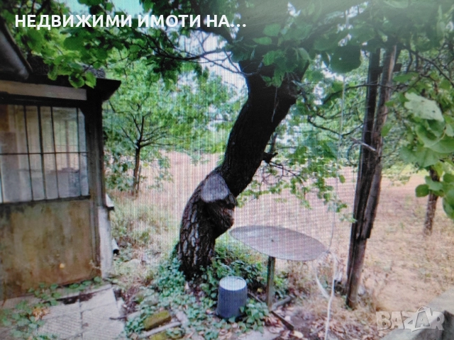 Вила в село Червен, снимка 3 - Вили - 52660493