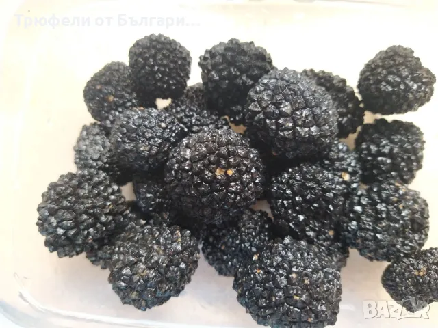 трюфели , снимка 5 - Други - 48261842