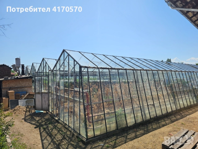 Продава се стъклена оранжерия, снимка 3 - Оранжерии - 51654998