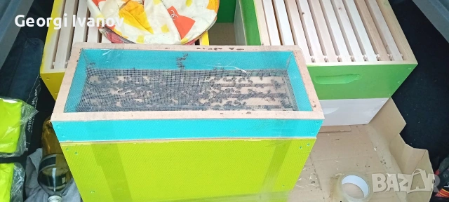 Пчелни отводки,рояци и пити с пило , снимка 3 - Други животни - 53434447