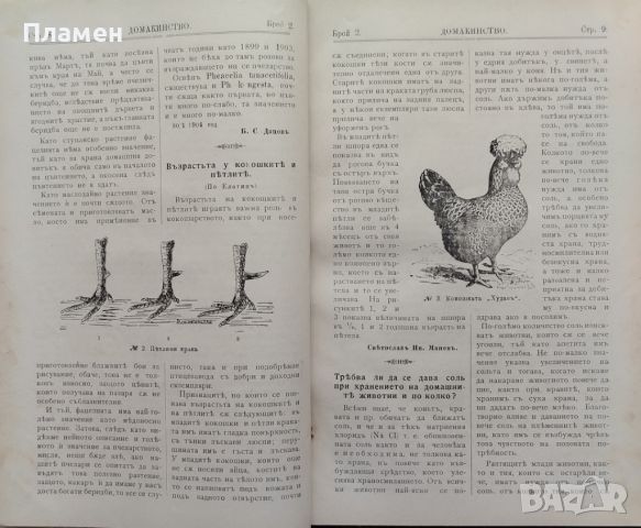 Домакинство. Илюстровано Списание За Всекиго. Год. 3: Брой 1-3, 6-12 /1904, снимка 4 - Антикварни и старинни предмети - 46632312