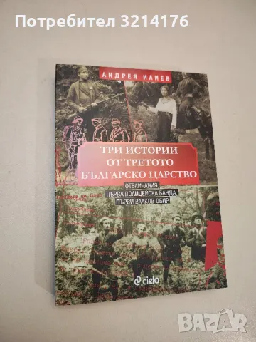 НОВА! Три истории от Третото българско царство - Андрея Илиев, снимка 1 - Специализирана литература - 48307469