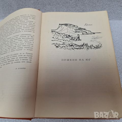 Стара Книга: "Пушкин в изгнание" от Иван Новиков, 1963 год., снимка 3 - Енциклопедии, справочници - 46430797
