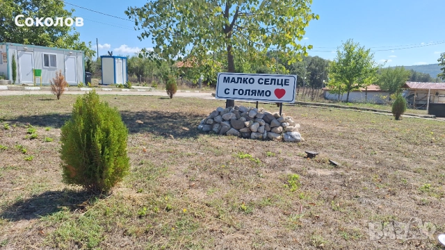 В планината на асфалт