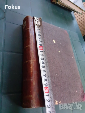 Антикварна книга - Половия живот на детето, снимка 6 - Антикварни и старинни предмети - 53328281