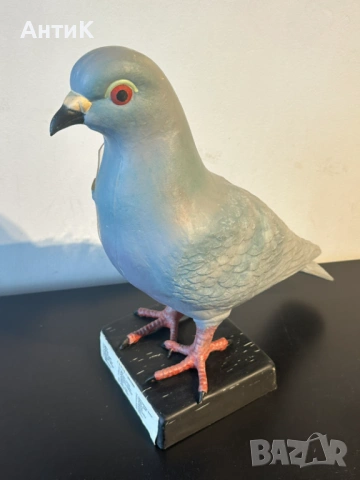 Соц Учебен Анатомичен Модел на Гълъб, снимка 6 - Антикварни и старинни предмети - 53667367