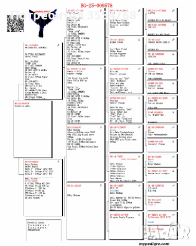 Продавам спортни гълъби , снимка 11 - Гълъби - 50760807
