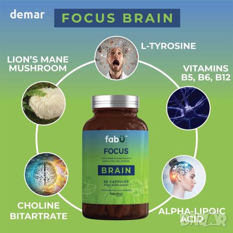 fabÜ FOCUS BRAIN Добавка за фокус и концентрация на мозъка, снимка 2 - Хранителни добавки - 45997788