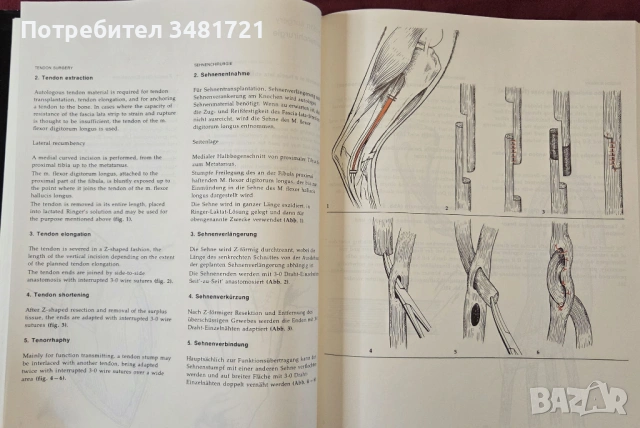 Atlas of Small Animal Surgery. Surgical Techniques for Practitioners, снимка 8 - Специализирана литература - 53748209