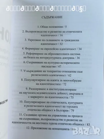 Концепция книга на Ибрахим Ялъмов , снимка 3 - Художествена литература - 48571037