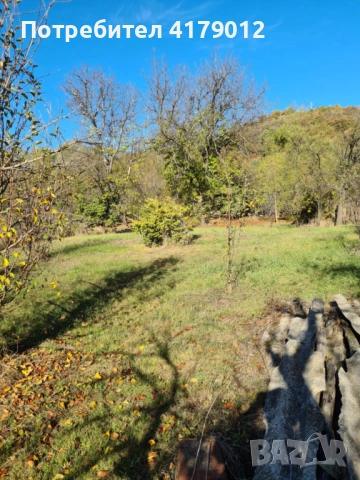 Къща (105кв) в град Костенец с двор 1206 кв., снимка 3 - Къщи - 53566585