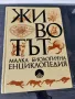 Животът малка биологична енциклопедия, снимка 1