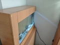 Аквариум с шкаф, снимка 2