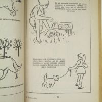 Боби - хоби книга за кучета, снимка 4 - Енциклопедии, справочници - 45303397