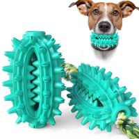 Играчка кактус – четка за зъби за домашни любимци, снимка 3 - За кучета - 46100968