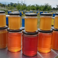 Пчелен мед и пчелни продукти, снимка 1 - Пчелни продукти - 45026181