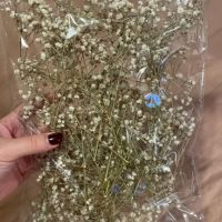 Стръкчета суха естествена гипсофила на пакет, снимка 4 - Изкуствени цветя - 45289550