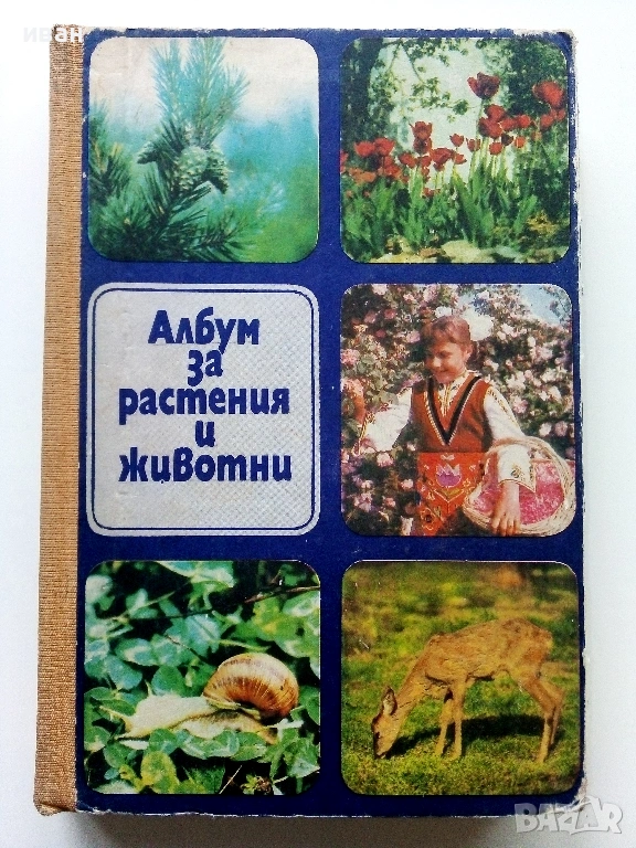 Албум за растения и животни - Н.Боев,С.Петров,П.Кръстев - 1976г., снимка 1