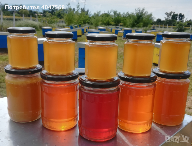 Пчелен мед и пчелни продукти, снимка 1