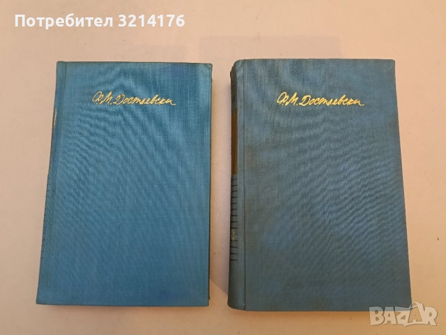Неточка Незванова - Фьодор М. Достоевски, снимка 3 - Художествена литература - 52304131