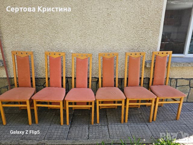 Масивни трапезни столове 6бр., снимка 1 - Столове - 45160952