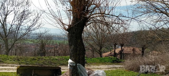 Дворно място 2дка в регулация в с.Кочово, общ. Велики Преслав, снимка 2 - Парцели - 53710832