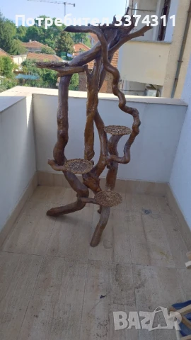 Уникален цветарник,свещник от корените на бук, снимка 2 - Други - 51150963