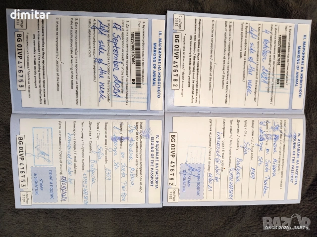 Продавам чистокръвни Кане Корсо , снимка 10 - Кане корсо - 54082936